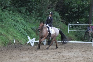 Bild 262 - WBO-Turnier am 18.9.11